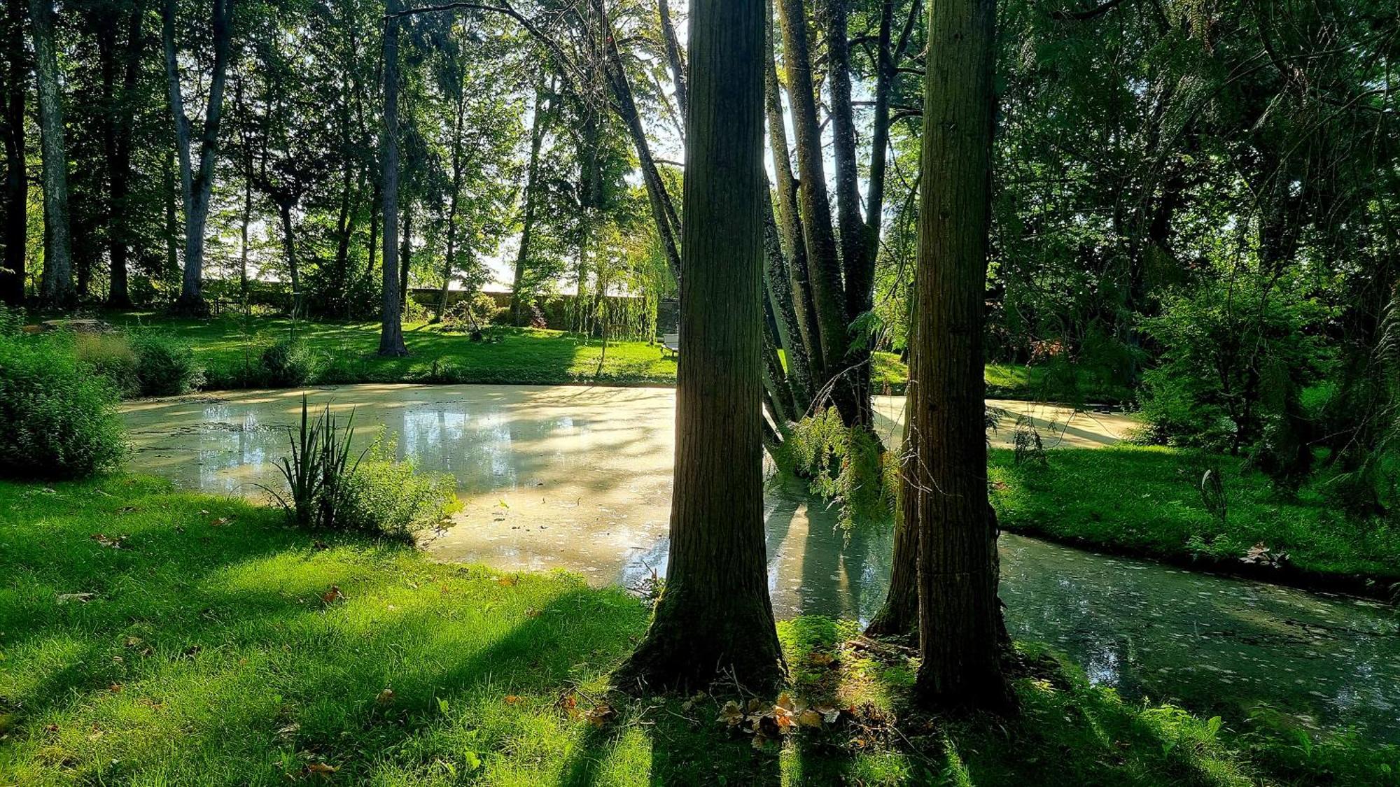 Chateau De Bonneau Suèvres Buitenkant foto